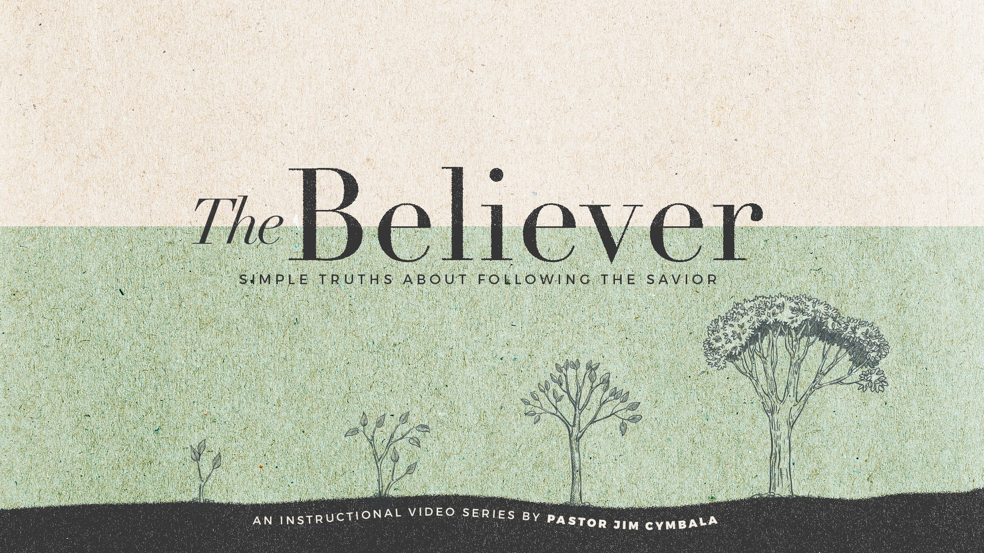 The Believer simple truths about following savior thumbnail