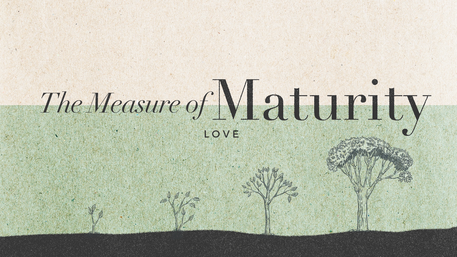 The Measure of Maturity (love) thumbnail