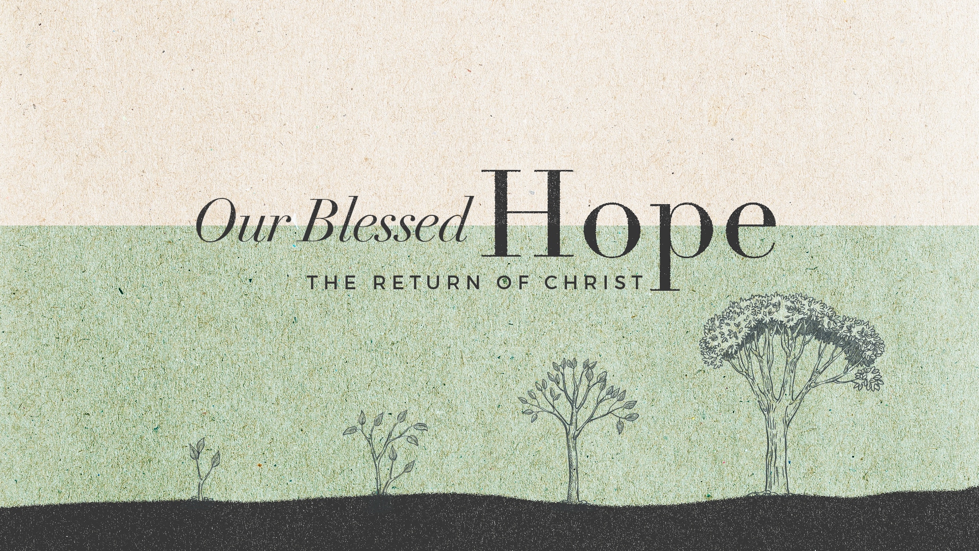 Our Blessed Hope (The Return of Christ) thumbnail