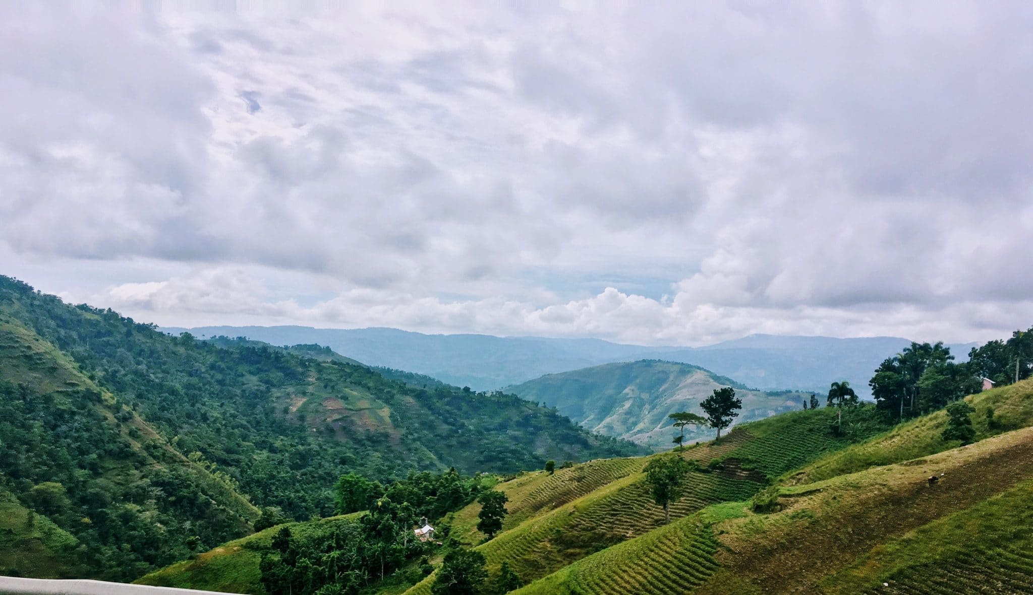 rice fields on the mountain above is sea of clouds