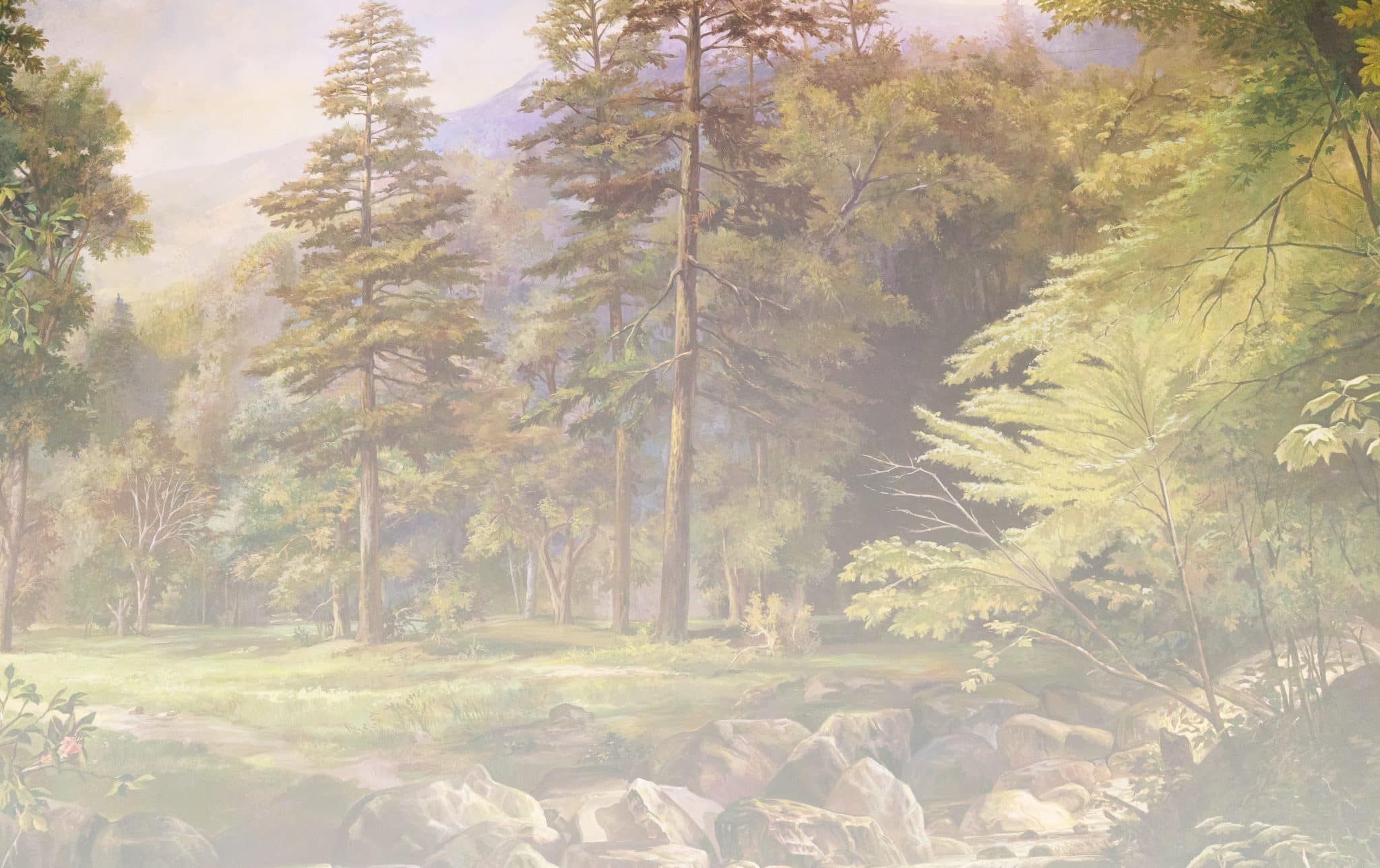 A lonely forest meadow with trees and rocks