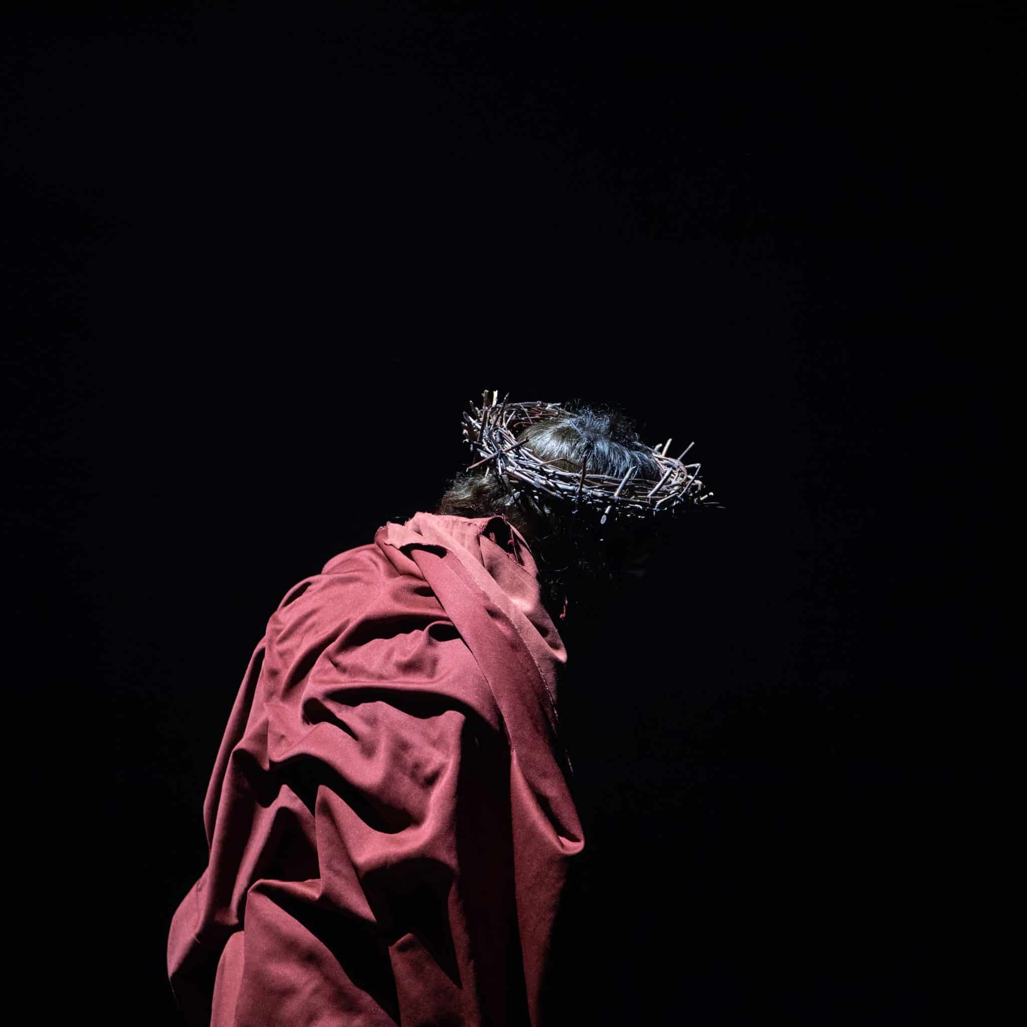 Crown of thorns - The Story of Love