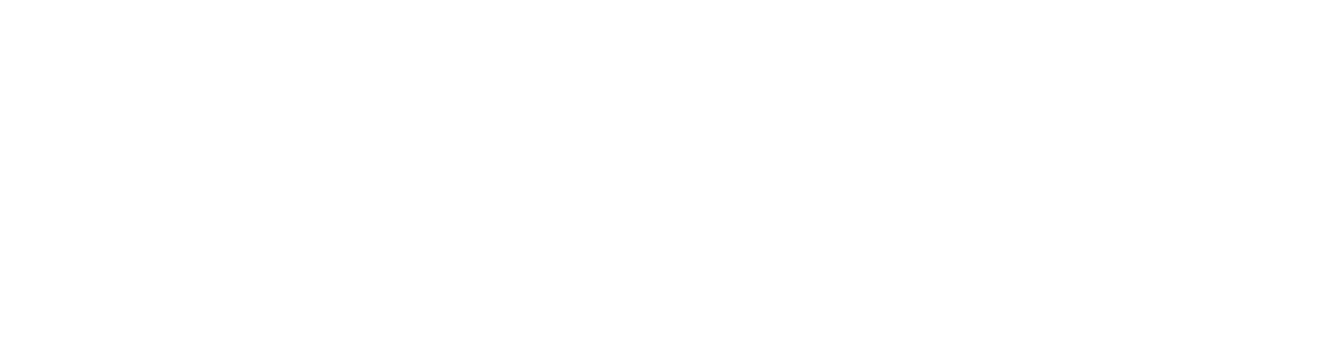 BeTransformed_Logo_White