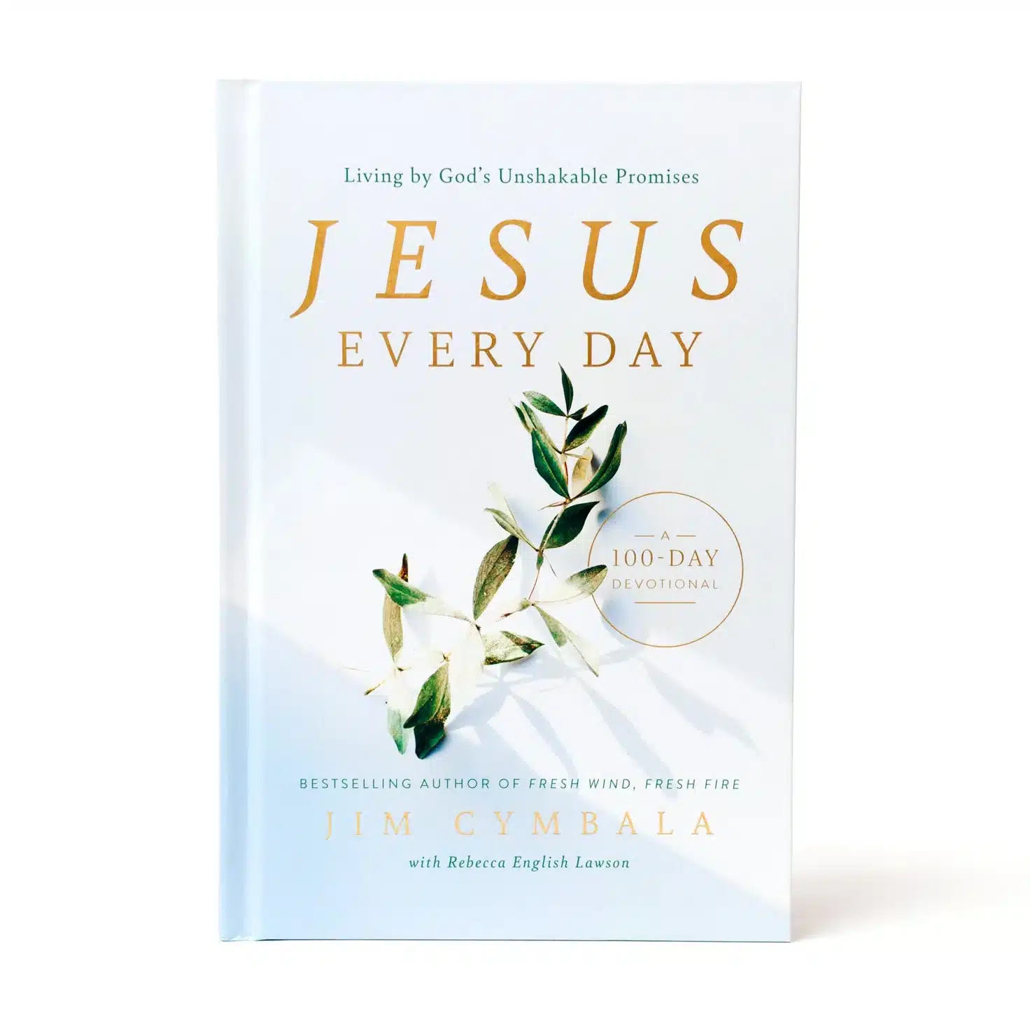 Jesus Every Day by Jim Cymbala